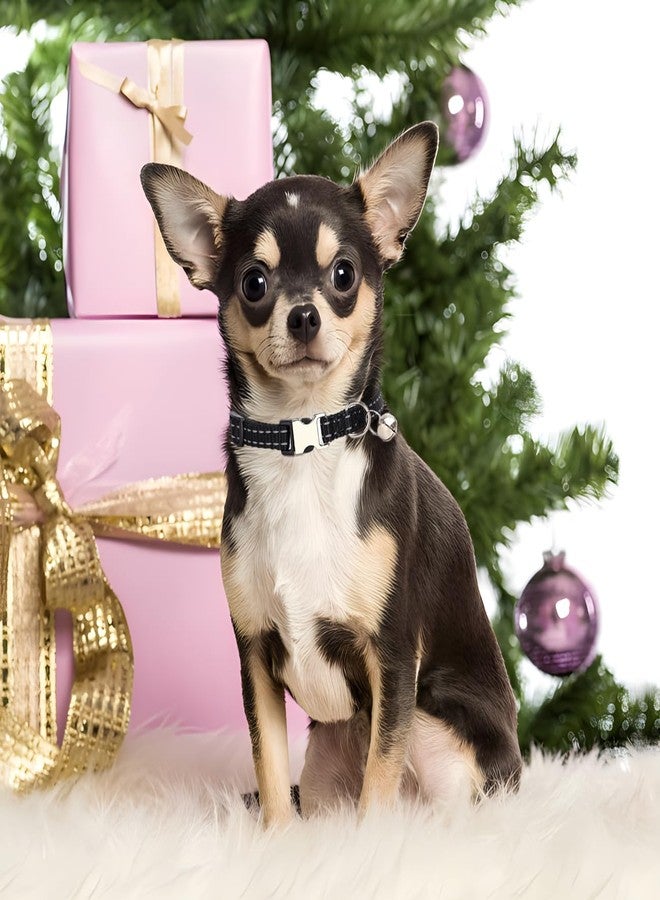 Weimostar Black Puppy Collar with Bell, Reflective Nylon XS Cat Collars Soft Adjustable Buckle for XXS XSmall Small Puppy Female Tiny Pets Dogs Boy Girl Kitten Yorkie Chihuahua X-Small - Image 2
